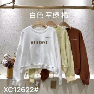 Design flessibile in stile Minimalist Round Collar stile maniche Stitched stile Cassual Solid color cotone e lino sovradimensionato personalizzato 12622 Sweatshirts